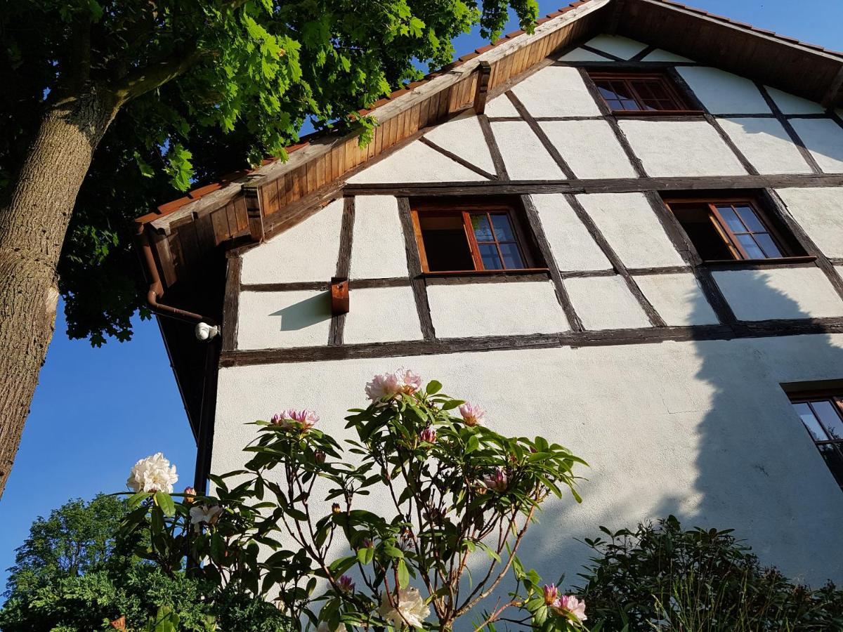 Agroturystyka Dowoli Swieradow-Zdroj Exterior photo