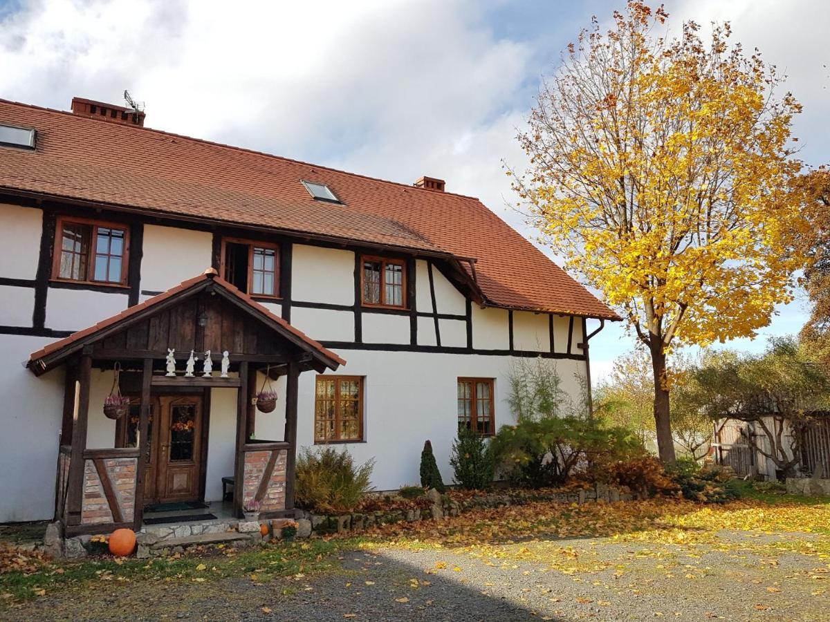 Agroturystyka Dowoli Swieradow-Zdroj Exterior photo